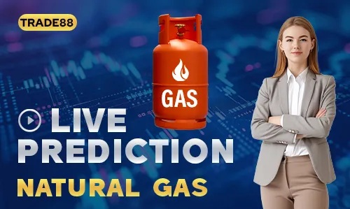 Trade88 NATURAL GAS