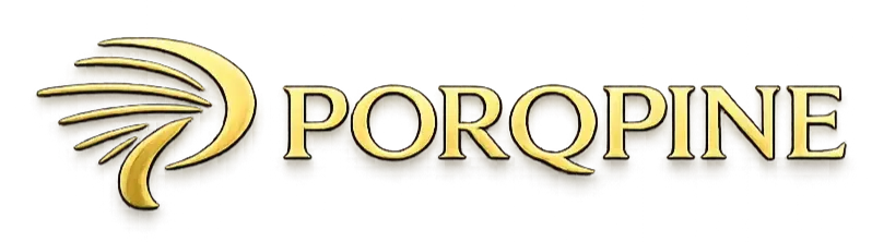 PorQpine IT